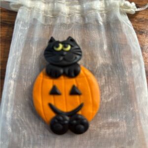 Black Cat on Orange Pumpkin Pin Made from Clay